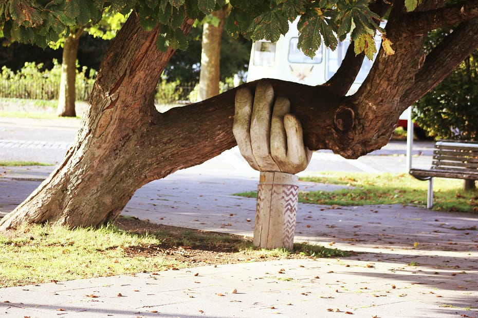 Bild eines Baumes, der von einer großen hölzernen Hand gestützt wird.